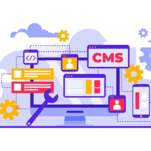 CMS-Based Websites